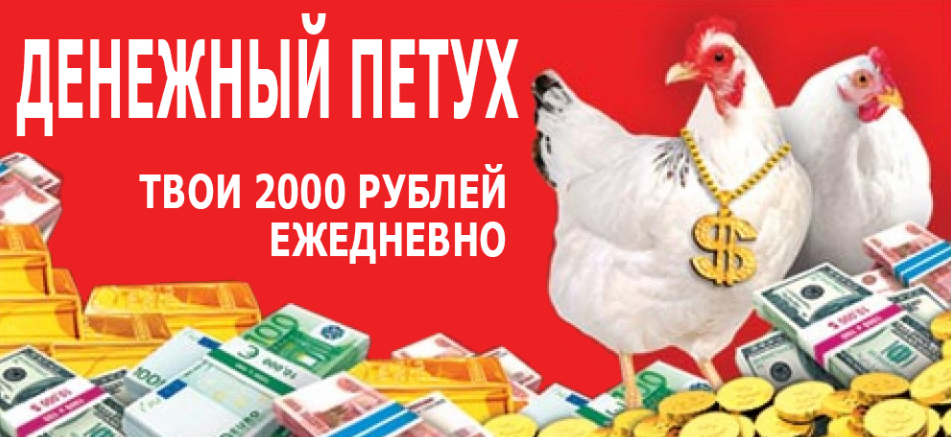 1526311931355.png