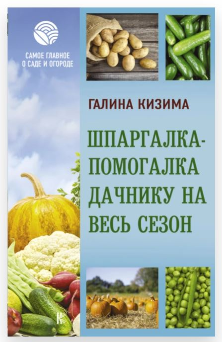 1735568236370.png