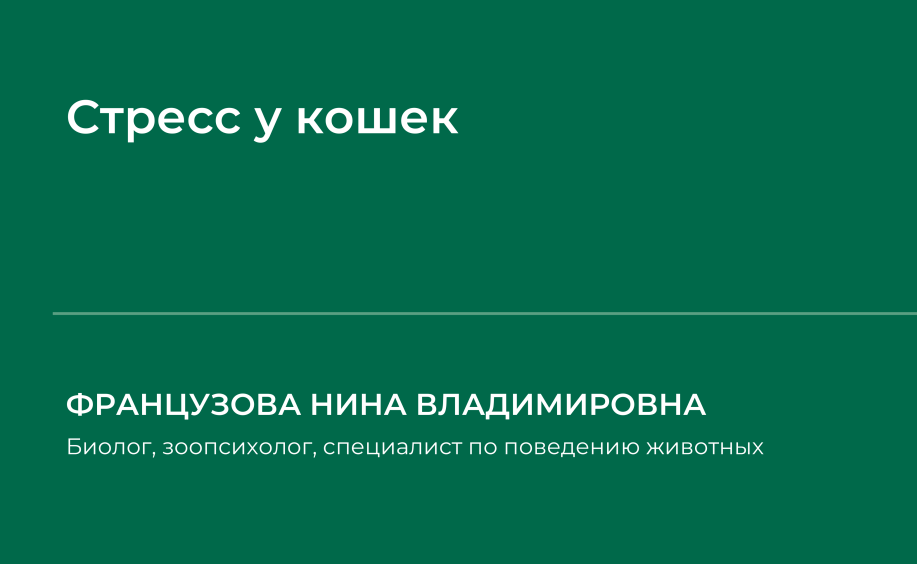 1736544180921.png