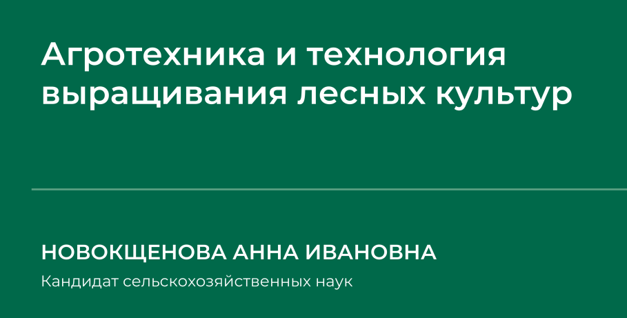 1736794835393.png