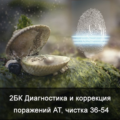1737493200017.png