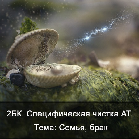 1738950775221.png