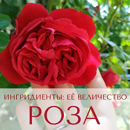 1739231716810.png
