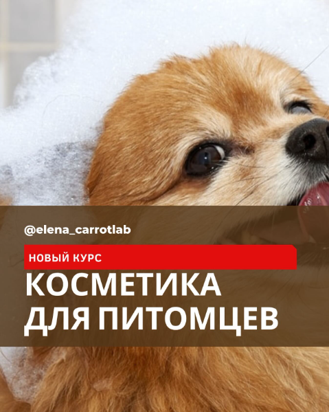 1744754993067.png
