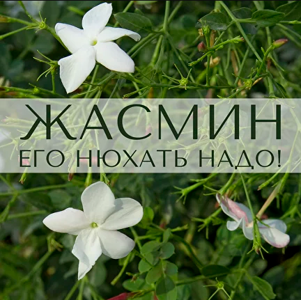1745447879389.png