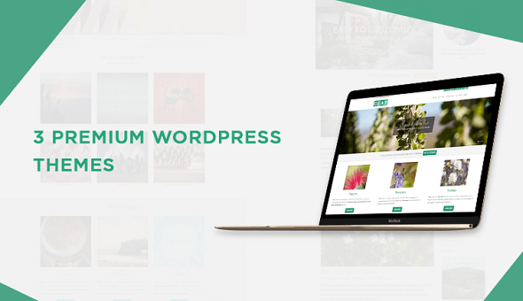 3-Premium-WordPress-Themes-1.png