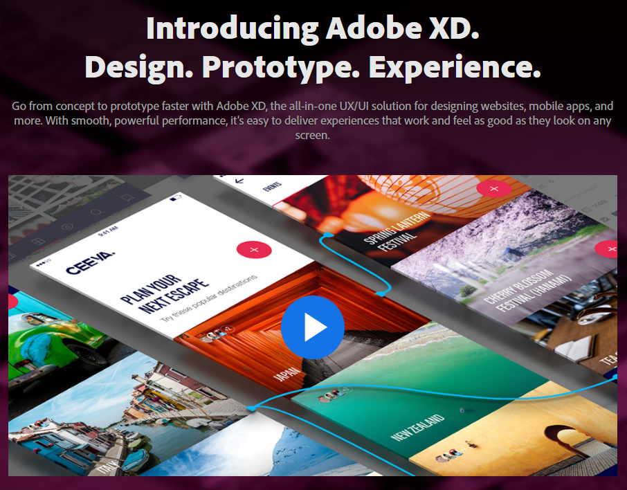 adobe xd.png