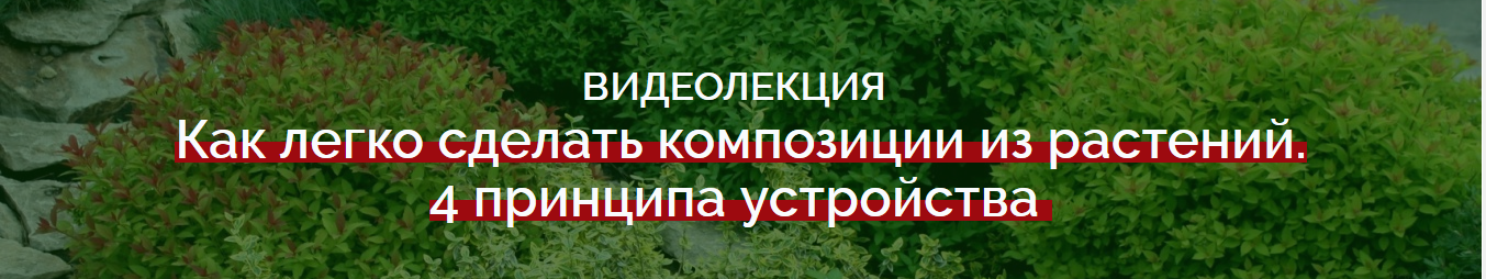 [Наталья_Мягкова]_Как_легко_сделать_композиции_из_растений.4_принципа_устройства.png